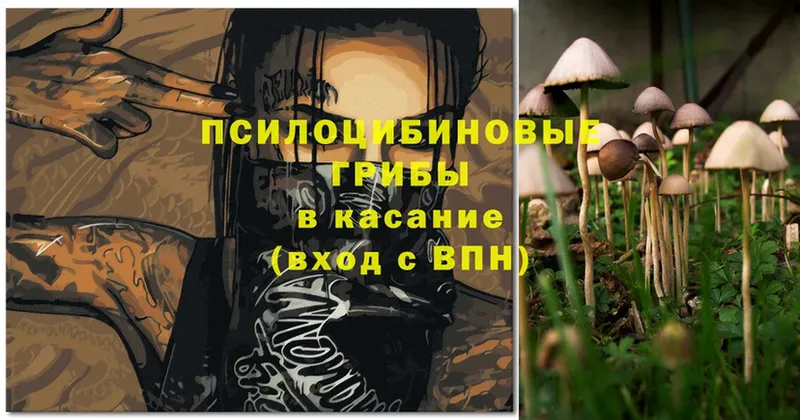 Псилоцибиновые грибы Magic Shrooms  omg рабочий сайт  Опочка 